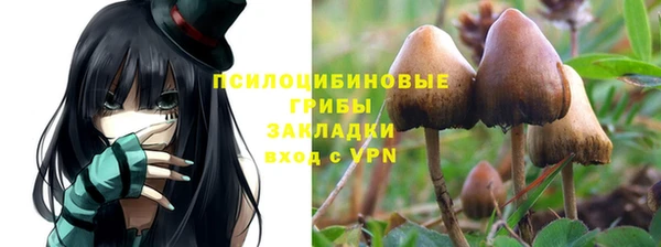 прущие крисы Алексеевка