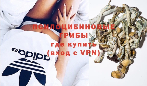 амф Алзамай